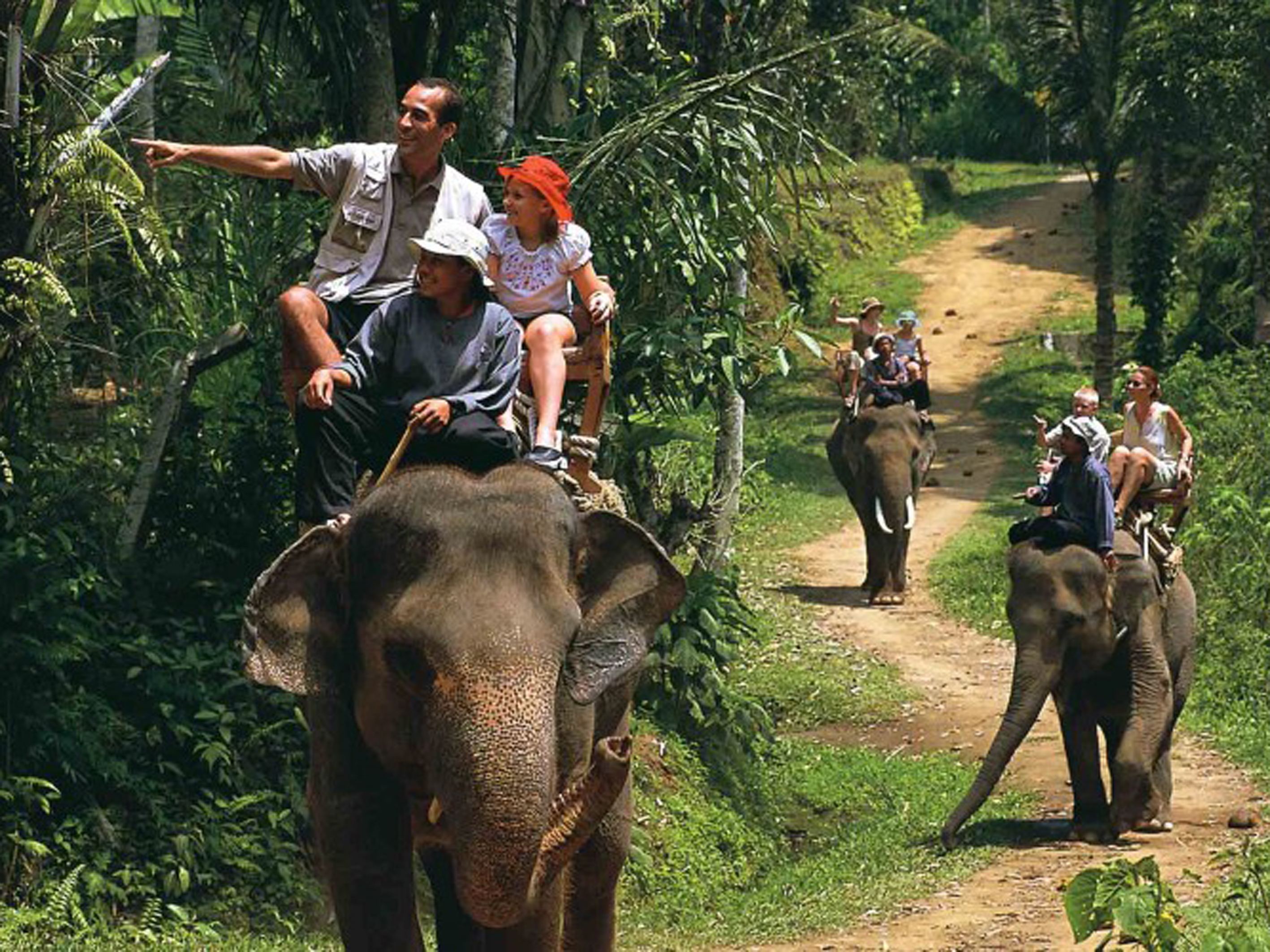 Индийские приключенческие. Слоновий парк Бали. Сафари на слонах Бали. Слоновья ферма Пхукет. Слоновьи фермы на ко Чанг.