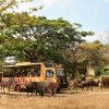 Bali Safari Marine Park