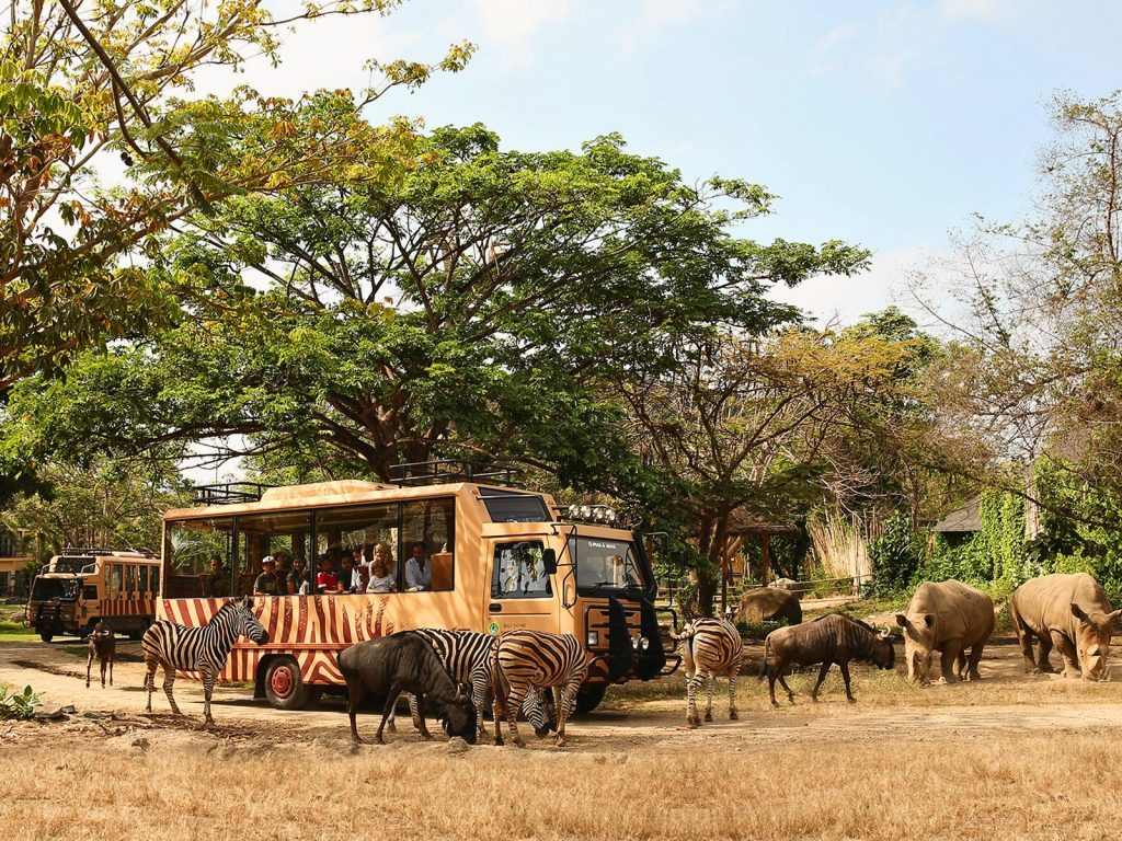 foto taman safari bali