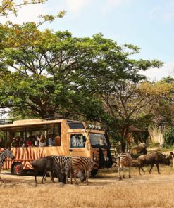 Bali Safari Marine Park