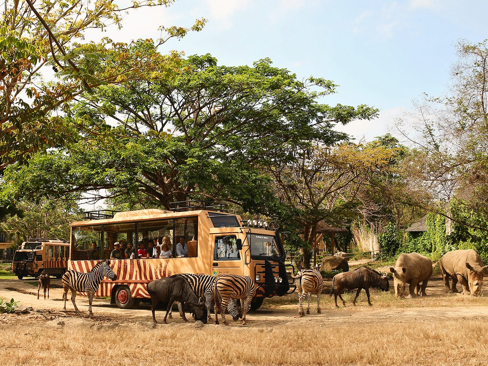 Bali Safari Marine Park