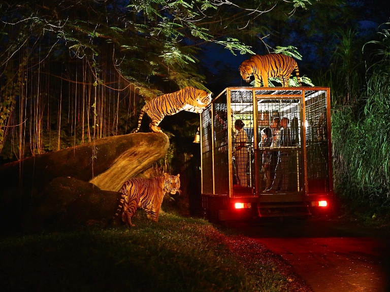 26% Off Bali Safari and Marine Park Tickets - Wandernesia