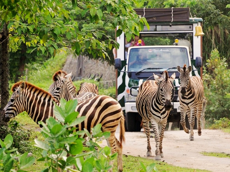 Wildlife Destinations in Bali
