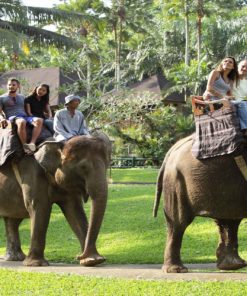 Elephant Safari Ride