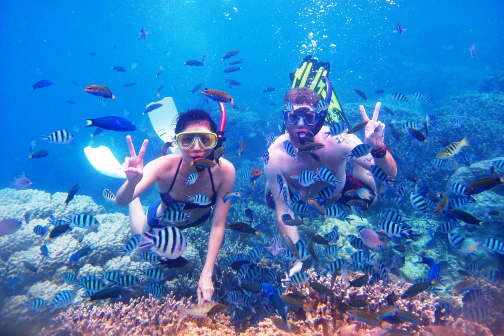 Menjangan Snorkeling