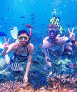 Menjangan Snorkeling