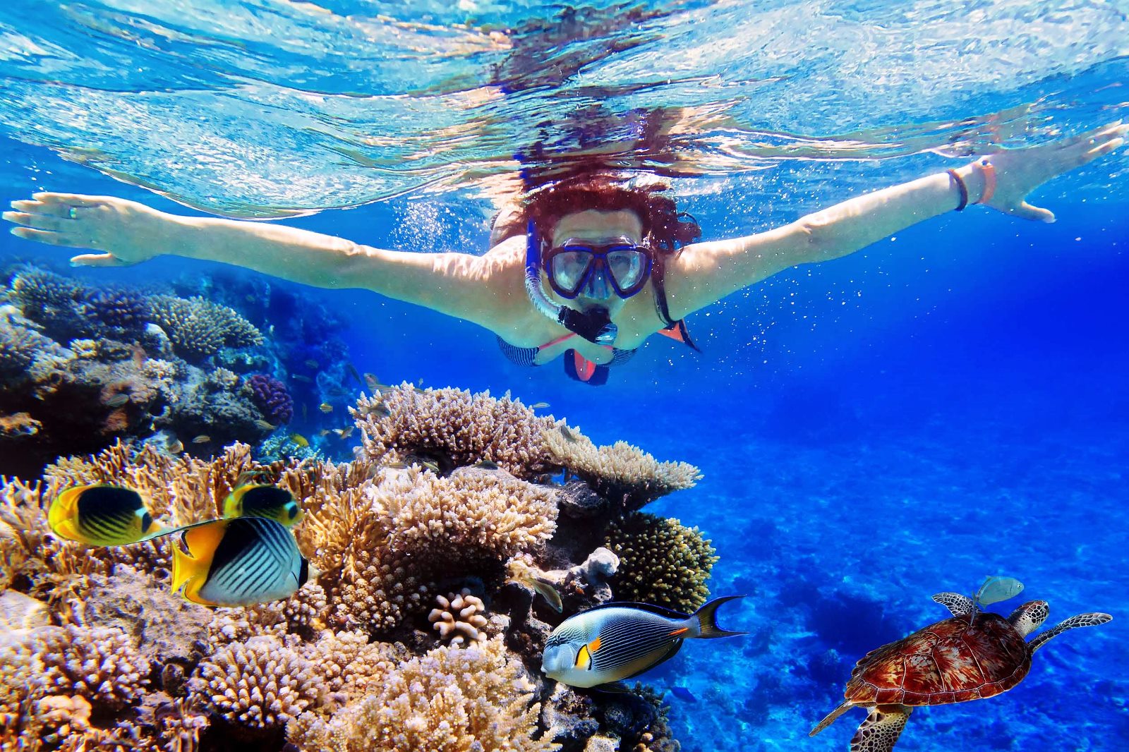 Lovina and Menjangan Snorkeling Bali Tour - Wandernesia