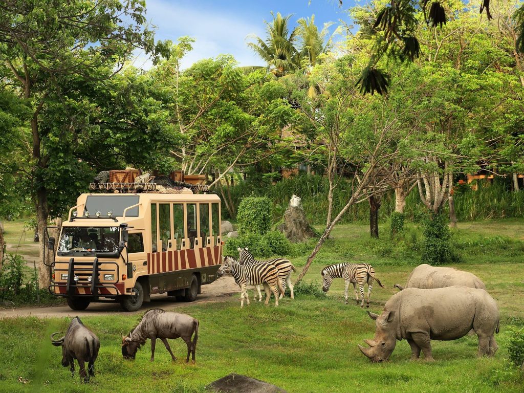 jungle safari in bali