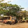 Bali Safari Marine Park