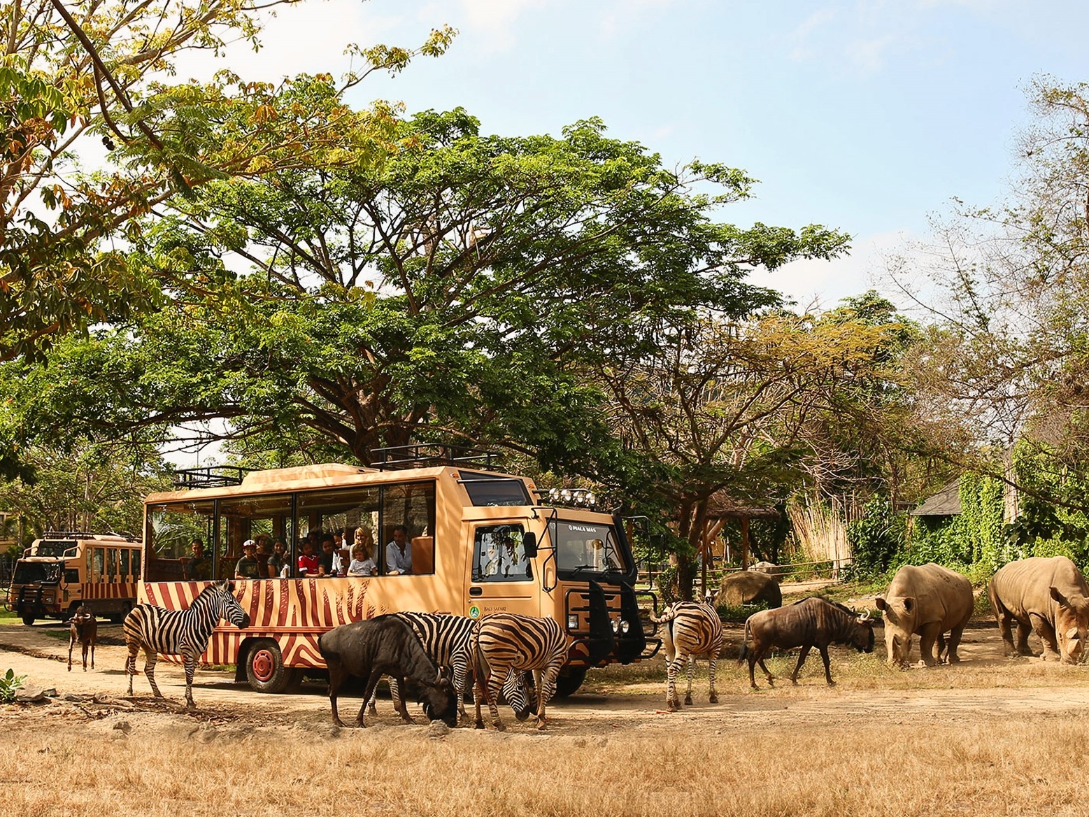 Bali Safari Marine Park and Jimbaran Day Tour - Wandernesia