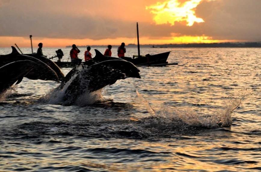 Dolphins at Lovina Beach