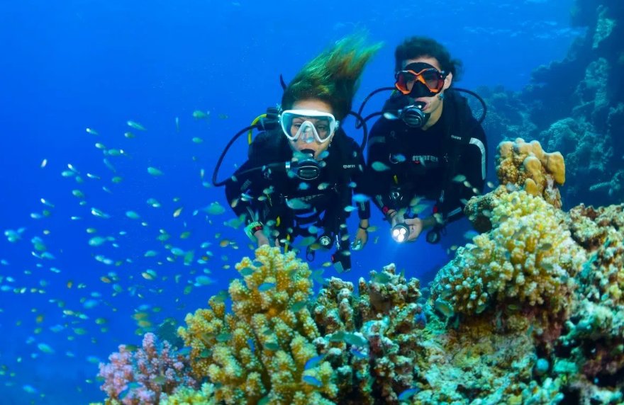 diving in bali top 10 things to do in bali