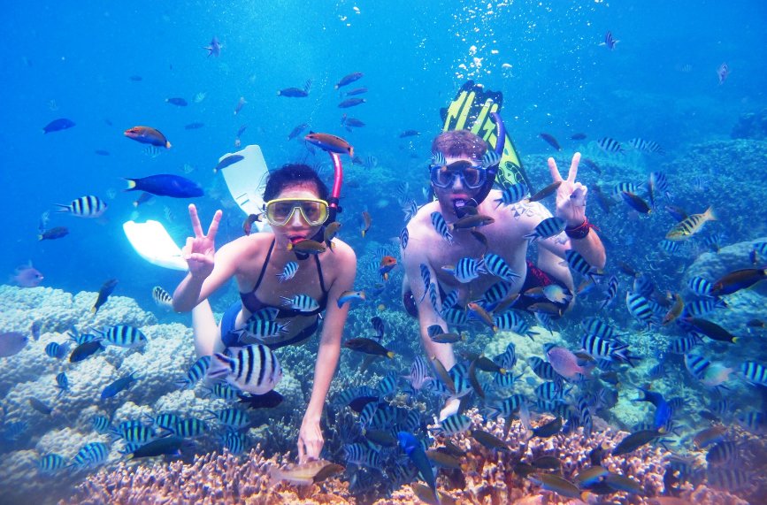 snorkeling menjangan island cool things to do in bali