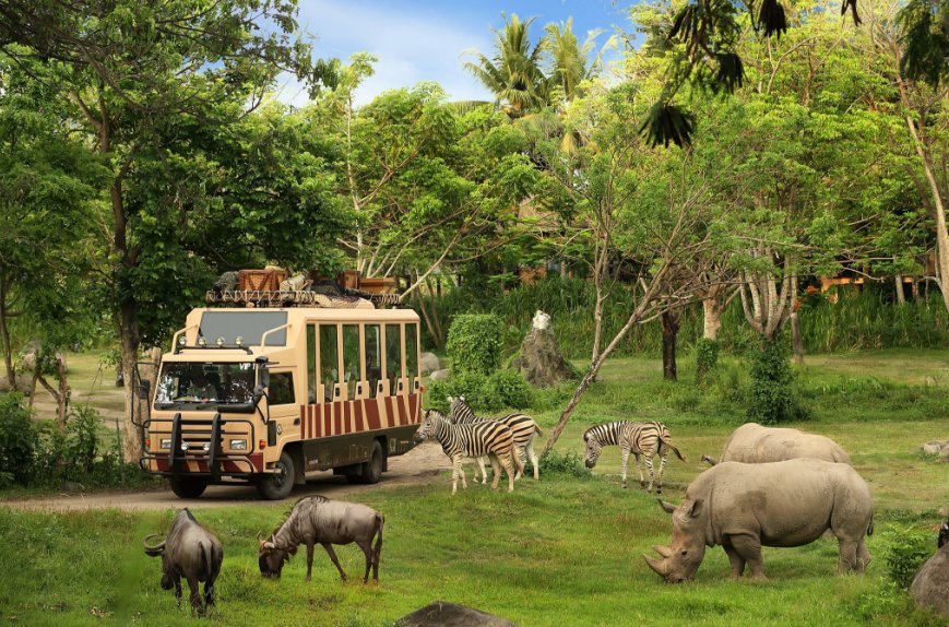 Bali Safari Marine Park top 10 things to do in bali