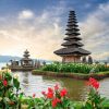 things to do in bali