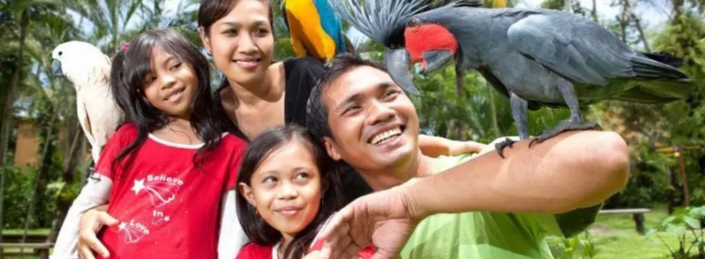 Bali Bird Park