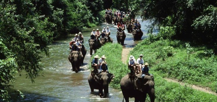 Bali Elephant Trekking