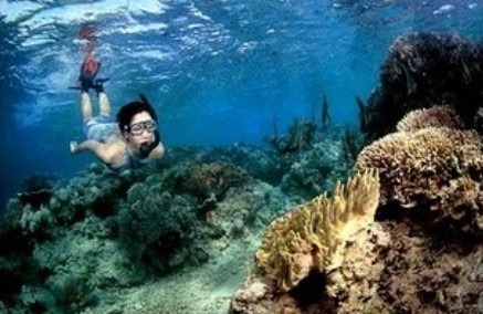 snorkeling lovina beach