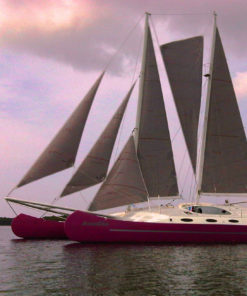 Aneecha Catamaran