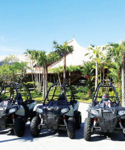 Bali ATV jugle buggy