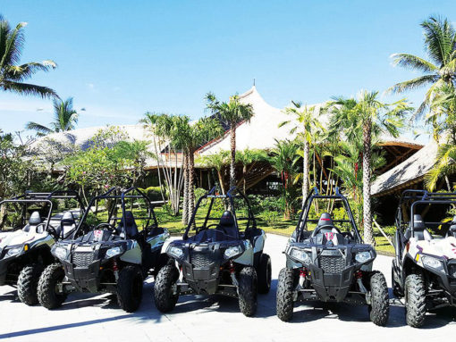 Bali ATV jugle buggy