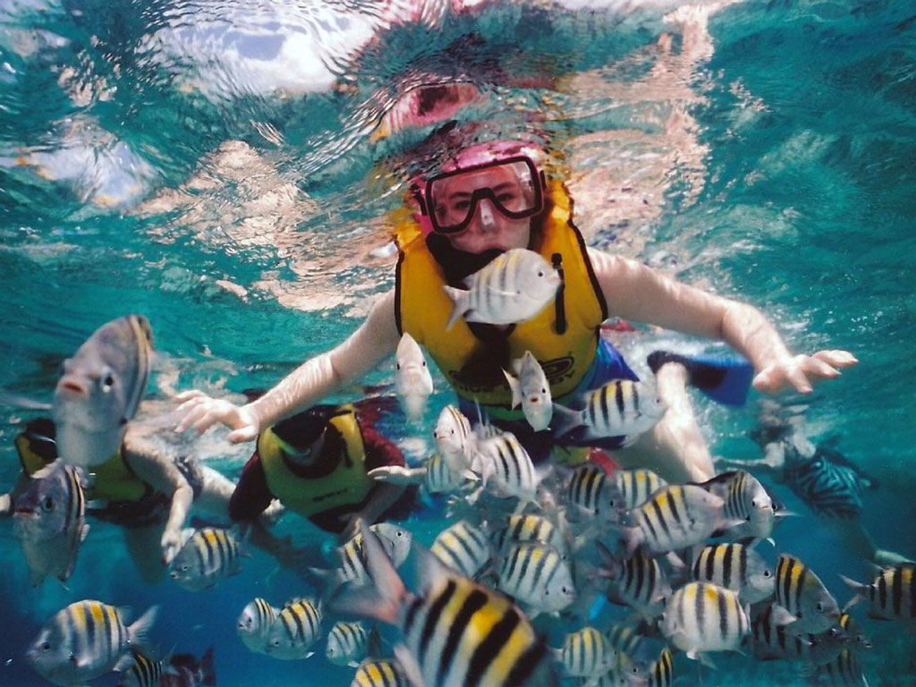 Snorkeling in Bali