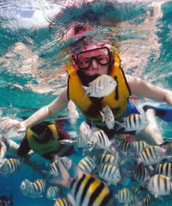 Snorkeling in Bali