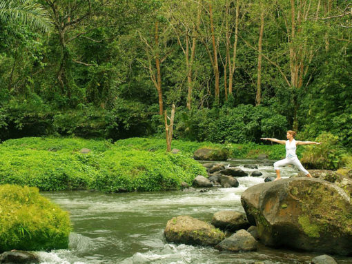 Bali Ubud Yoga Class