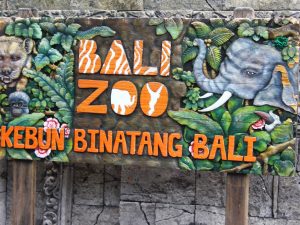 Bali Zoo