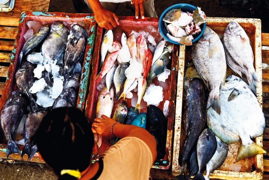 kedongan fish market