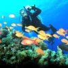 Padang Bay Dive