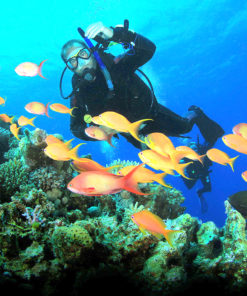 Padang Bay Dive