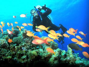 Padang Bay Dive