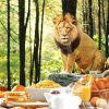 breakfast with the lions