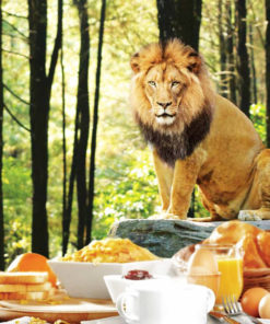 breakfast with the lions