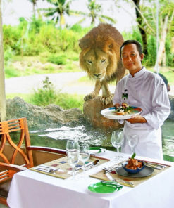 Breakfast with Lions Tsavo Resto