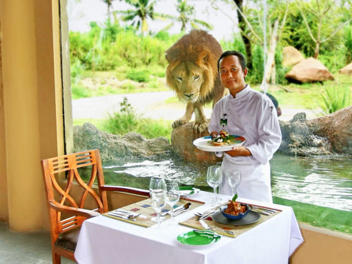 Breakfast with Lions Tsavo Resto