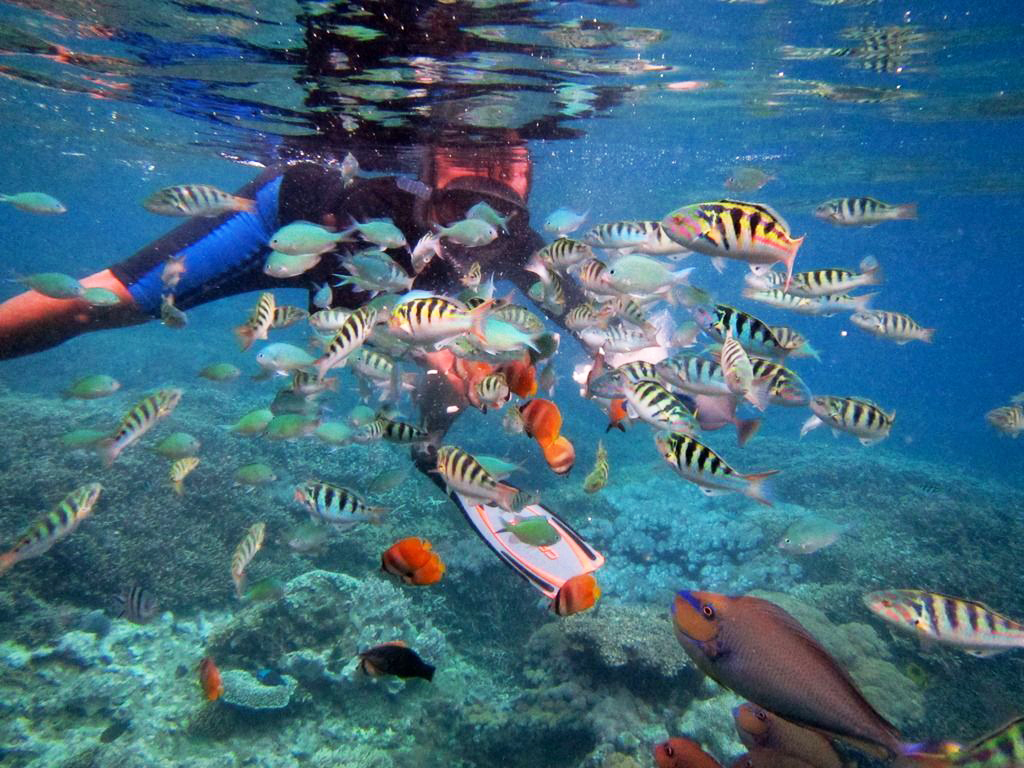 Two Island Snorkeling Bali Trip Nusa Penida Nusa Two Island Snorkeling Bali Trip Nusa Penida Nusa