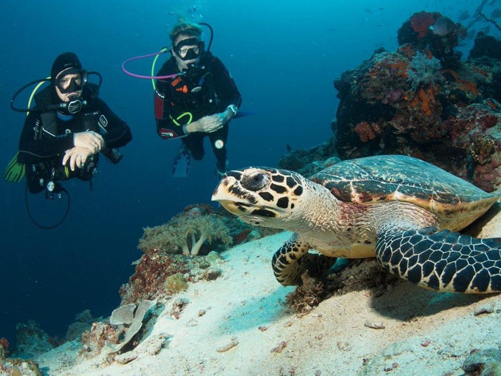 bali destinations; Menjangan Diving