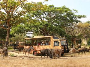 Bali Safari and Marine Park