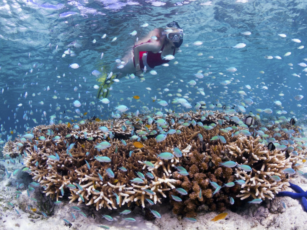 Blue lagoon Tanjung Jepun Snorkeling