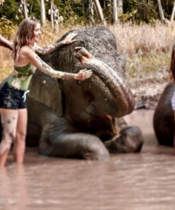 Elephant Mud Fun Experience (1)