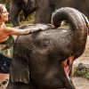Elephant Mud Fun Experience (3)