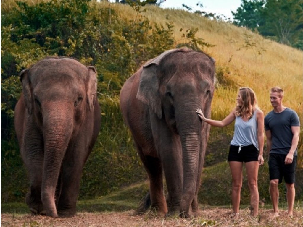 Elephant Mud Fun Experience (4)