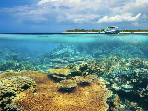 Lombok Fishing Day Tour (2)