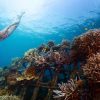 Snorkeling Tulamben Wreck