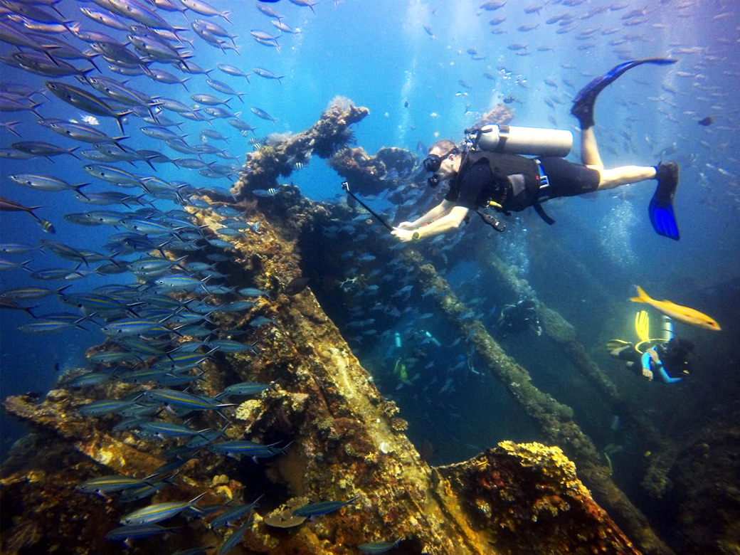 Image result for Liberty Wreck