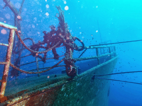 https://www.wandernesia.com/wp-content/uploads/2018/11/kubu_bali_diving_tulamben2.png