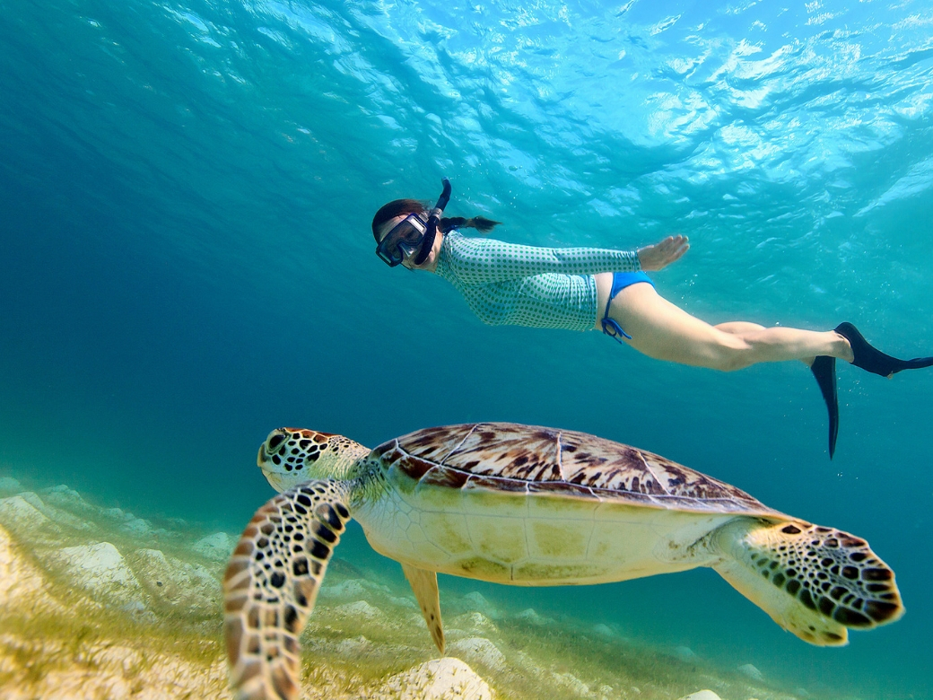 lombok snorkeling tour