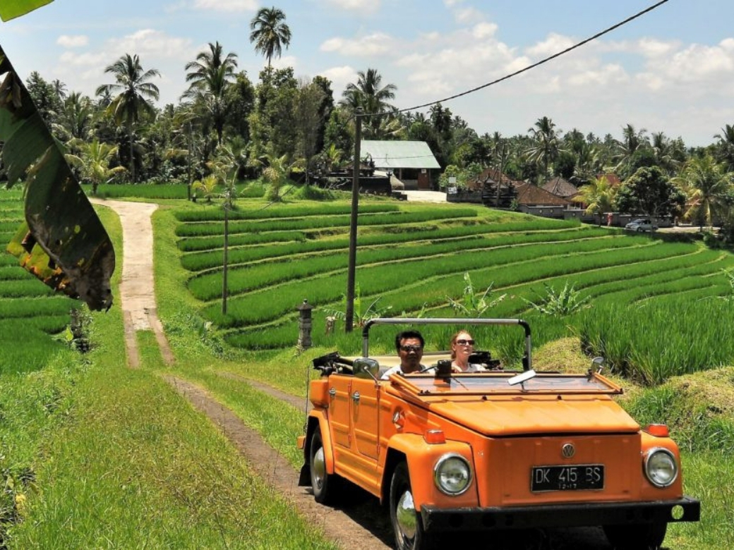 bali volkswagen tour